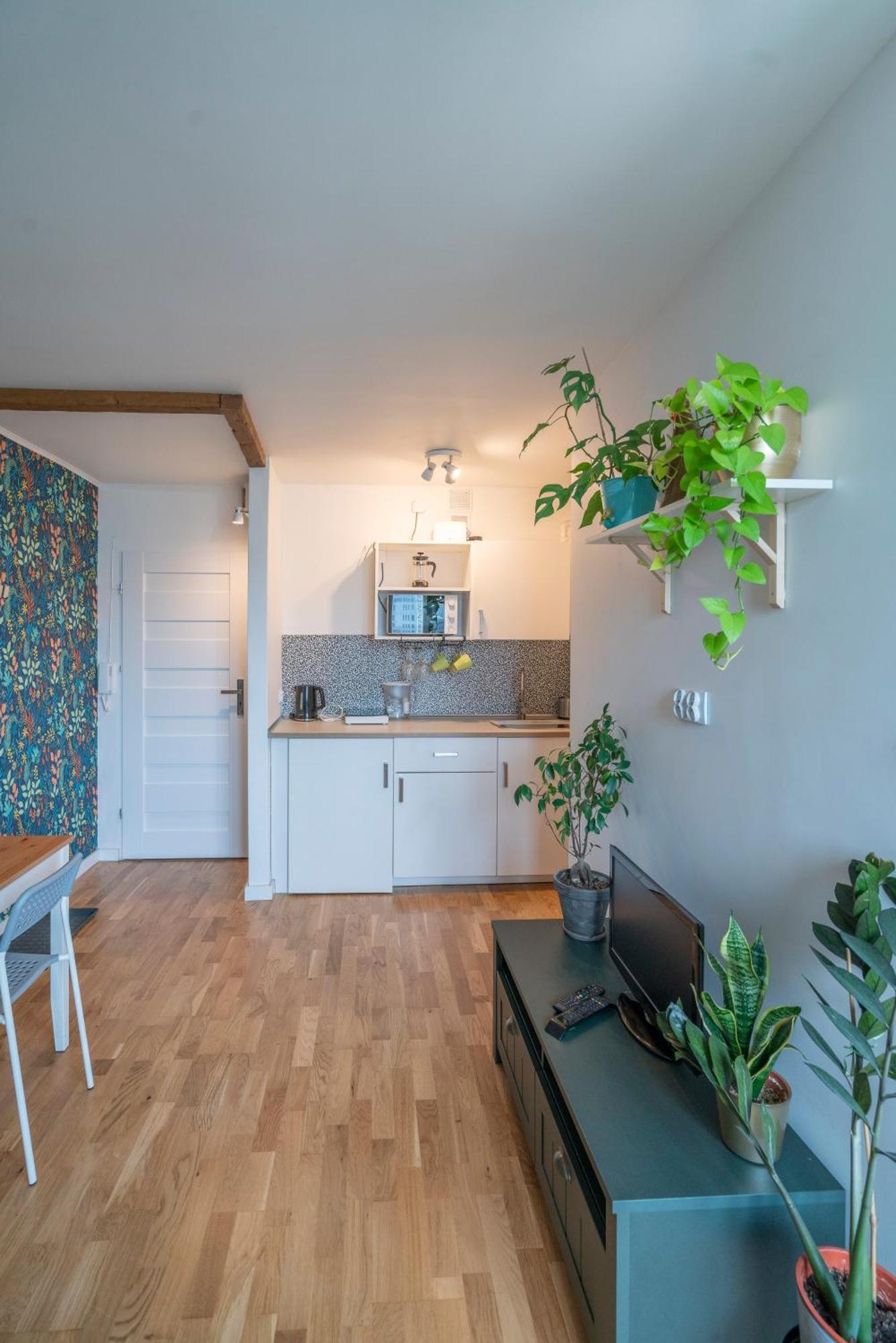 Green Studio In The City Center Of Wroclaw Breslávia Exterior foto